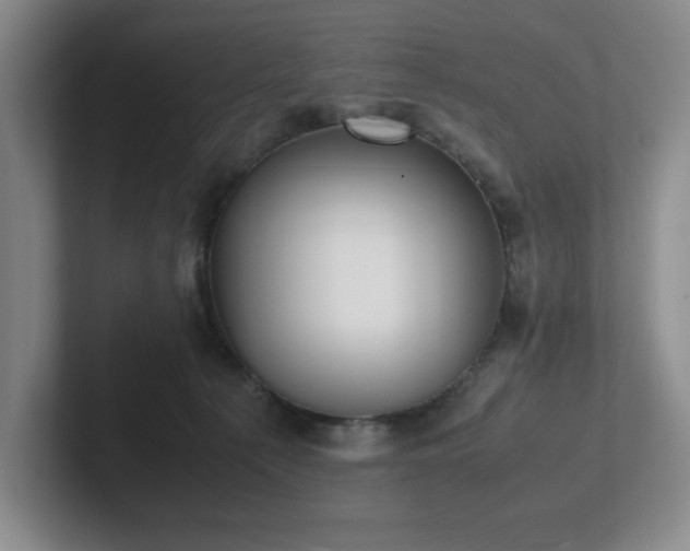 X0000102270225200807251356