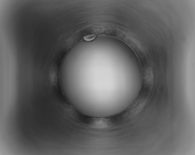 X0000102270226200807251356