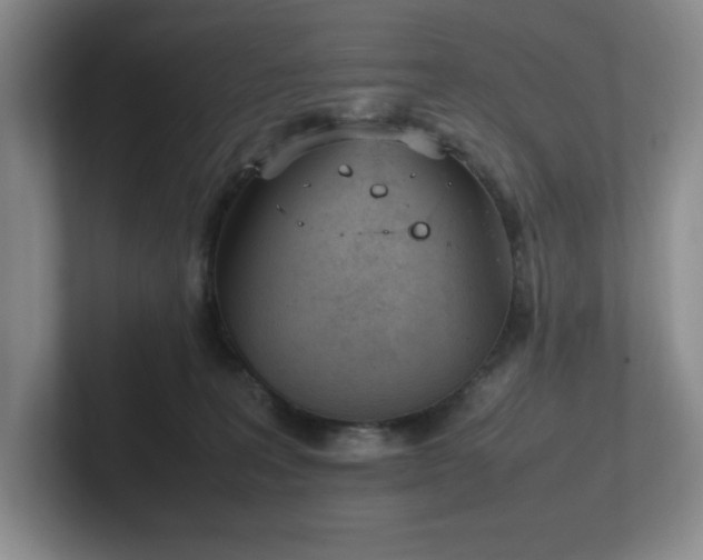 X0000102270227200807251356