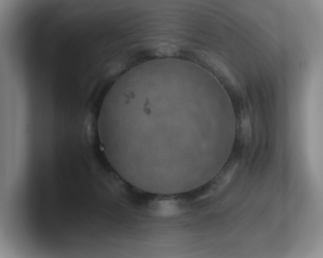X0000102270228200807251356
