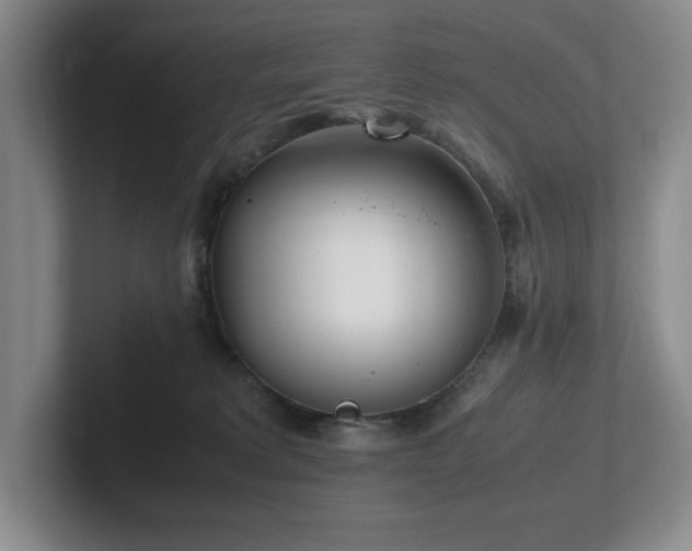 X0000102270229200807251356