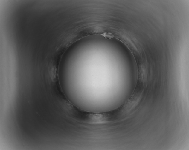 X0000102270230200807251356
