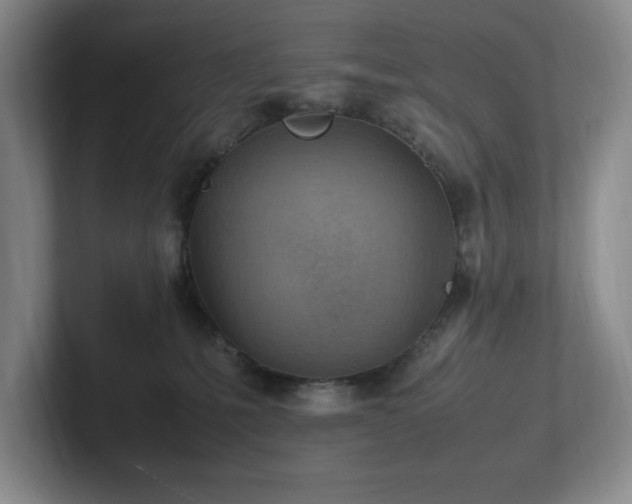 X0000102270231200807251356