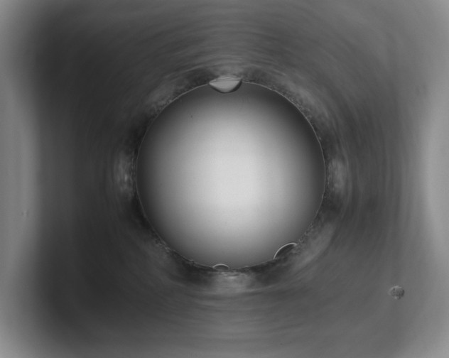 X0000102270234200807251356