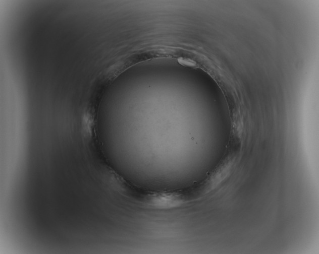 X0000102270235200807251356
