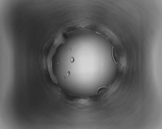 X0000102270236200807251356