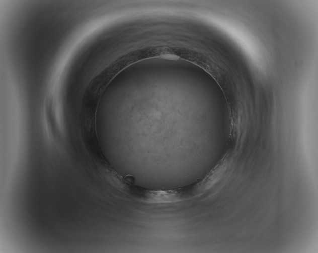 X0000102270239200807251356