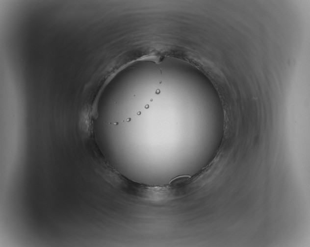 X0000102270240200807251356