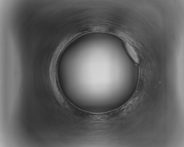 X0000102270241200807251355