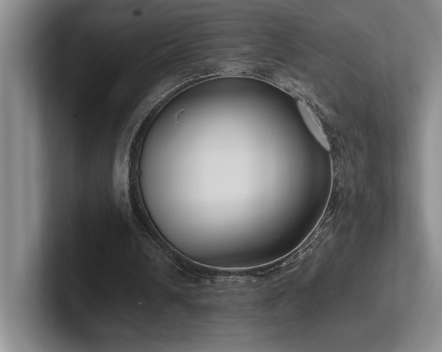 X0000102270242200807251355