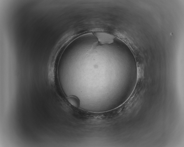 X0000102270243200807251355