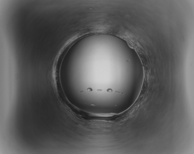 X0000102270244200807251355