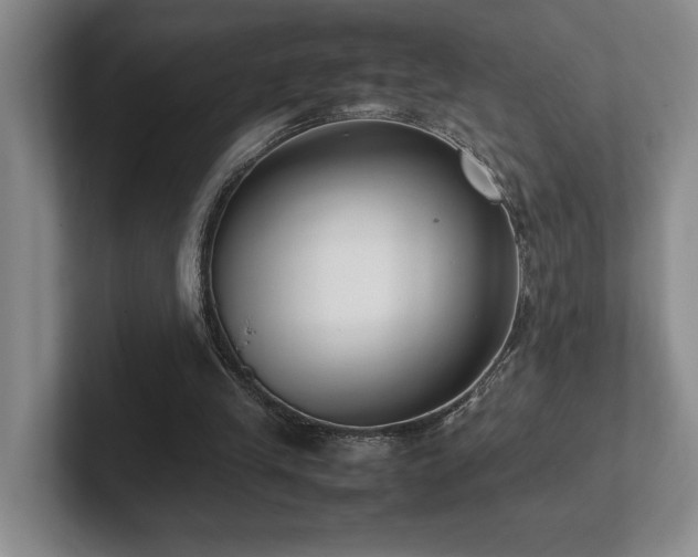 X0000102270245200807251355