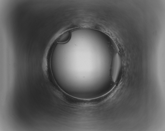 X0000102270246200807251355