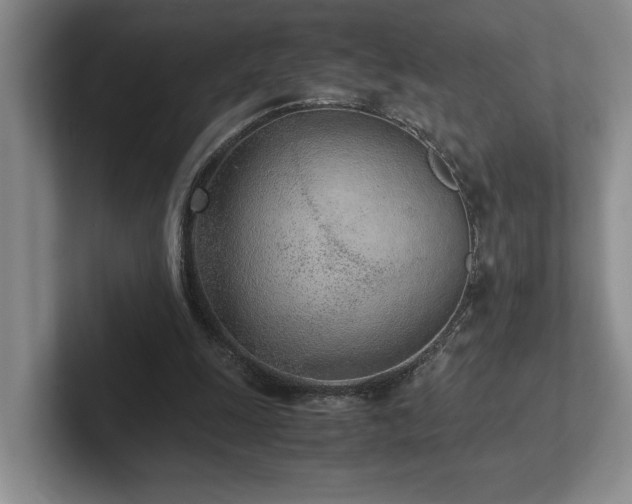 X0000102270247200807251355