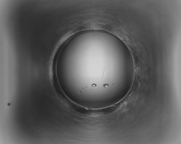 X0000102270248200807251355