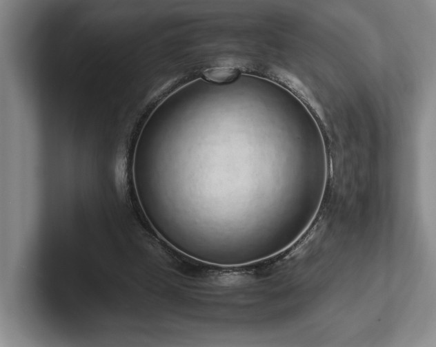 X0000102270249200807251355