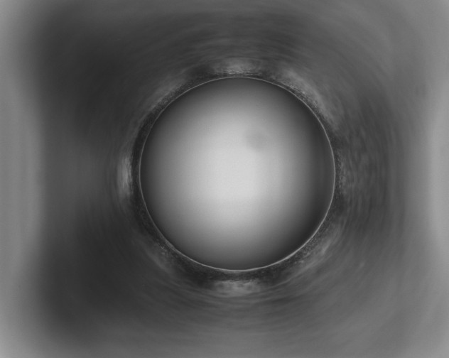 X0000102270251200807251355