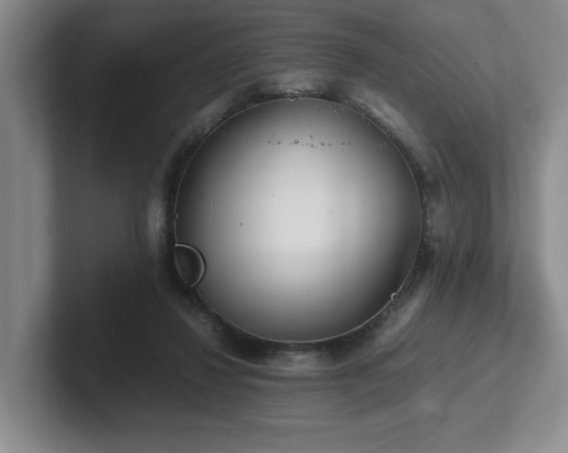 X0000102270260200807251355