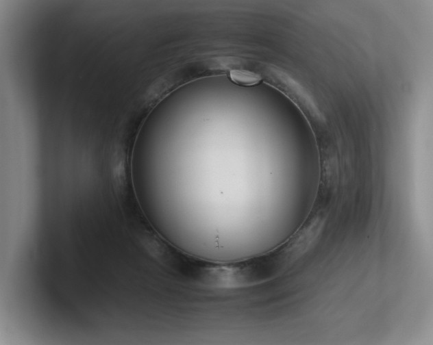 X0000102270265200807251355