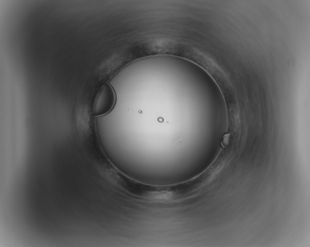 X0000102270266200807251355