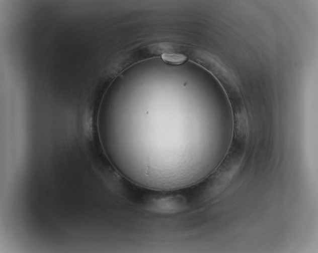 X0000102270267200807251355