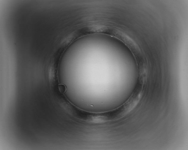 X0000102270268200807251355