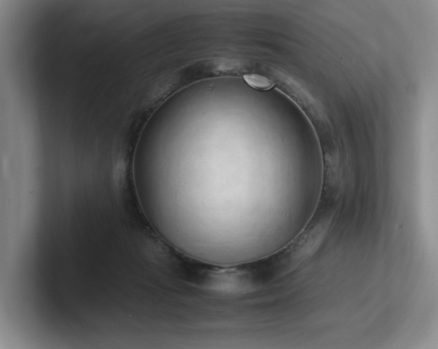 X0000102270269200807251355