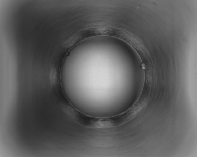 X0000102270270200807251355