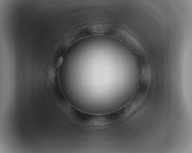 X0000102270271200807251355