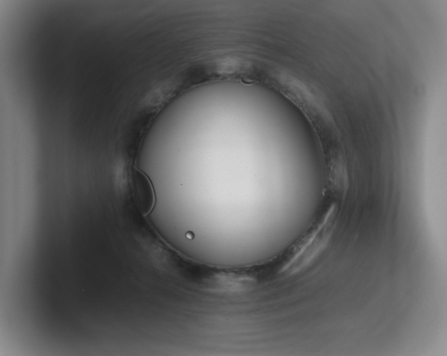 X0000102270272200807251355