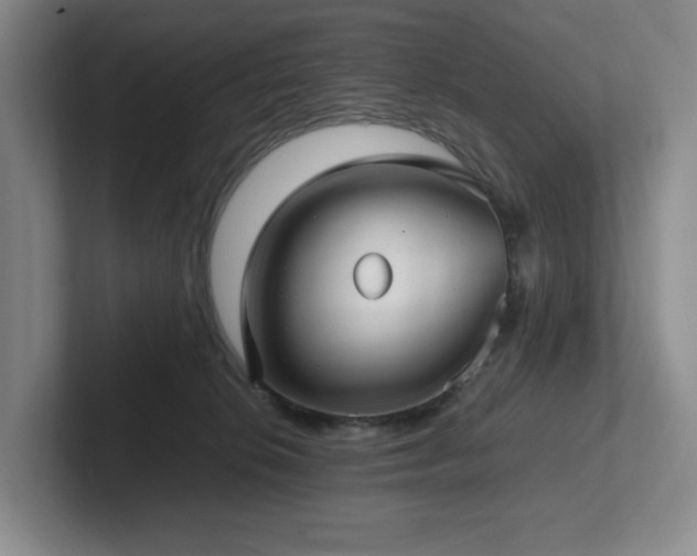 X0000102270276200807251355