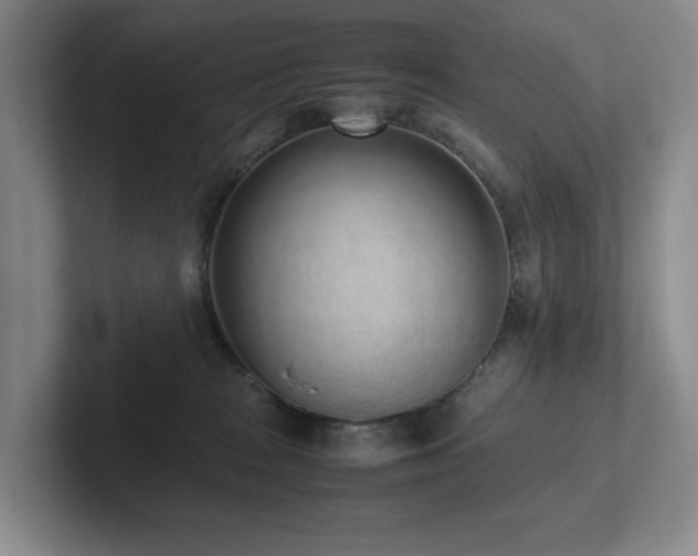 X0000102270277200807251355