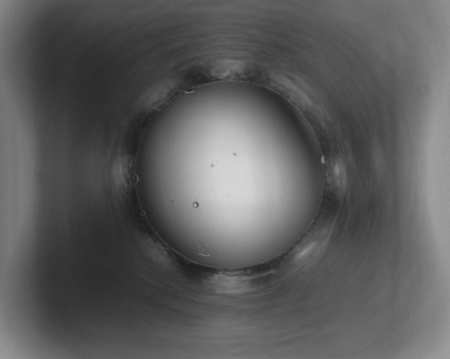 X0000102270280200807251355