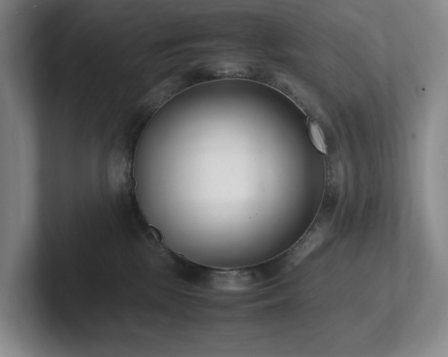 X0000102270281200807251355