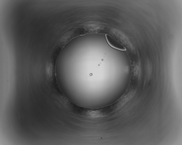 X0000102270283200807251355