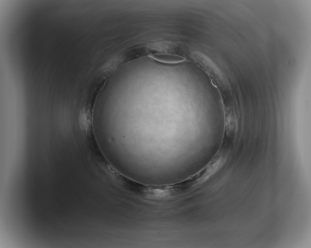 X0000102270285200807251355