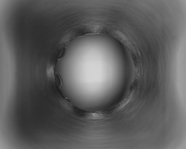 X0000102270286200807251355
