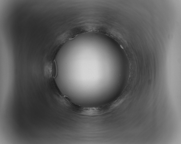 X0000102270288200807251356