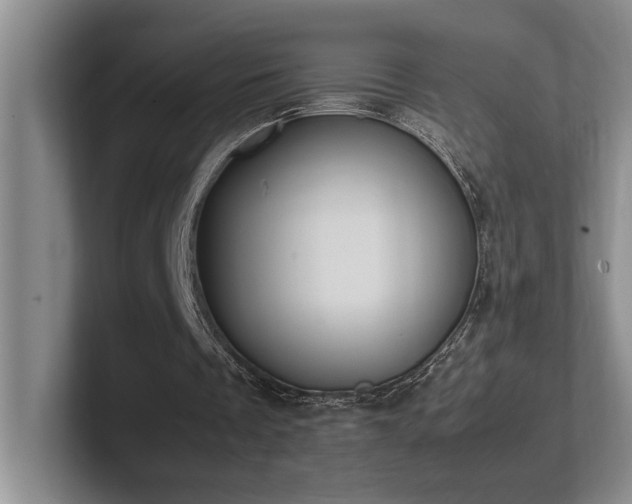 X0000102270289200807251355