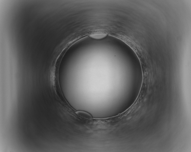 X0000102270290200807251355