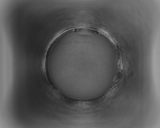 X0000102270292200807251355