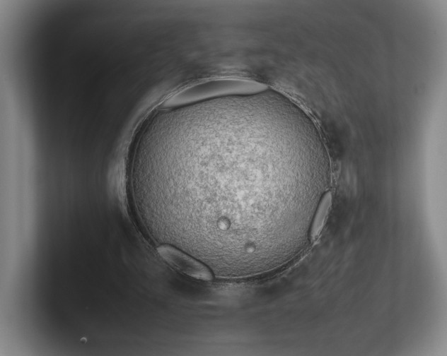 X0000102270293200807251355