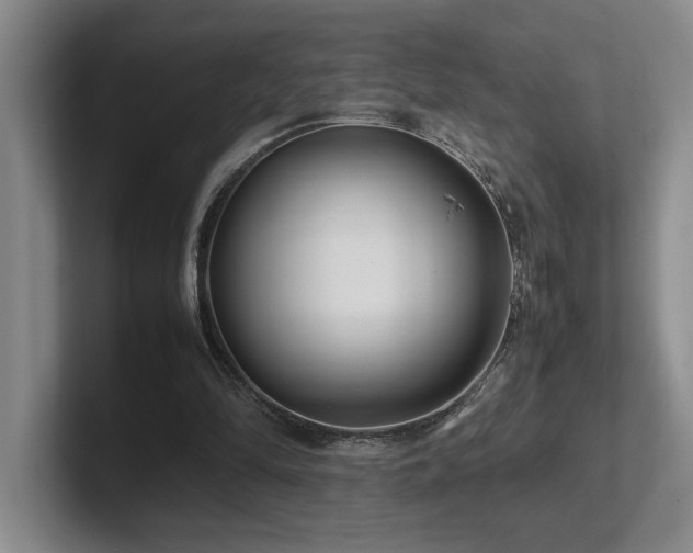 X0000102270294200807251355
