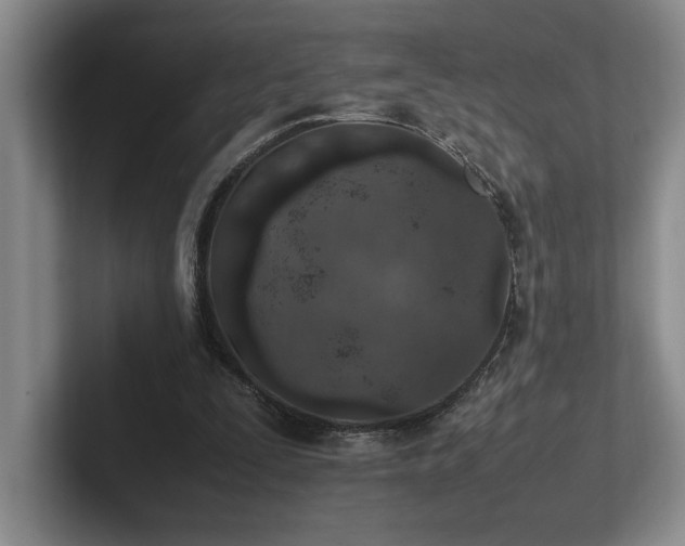 X0000102270295200807251355