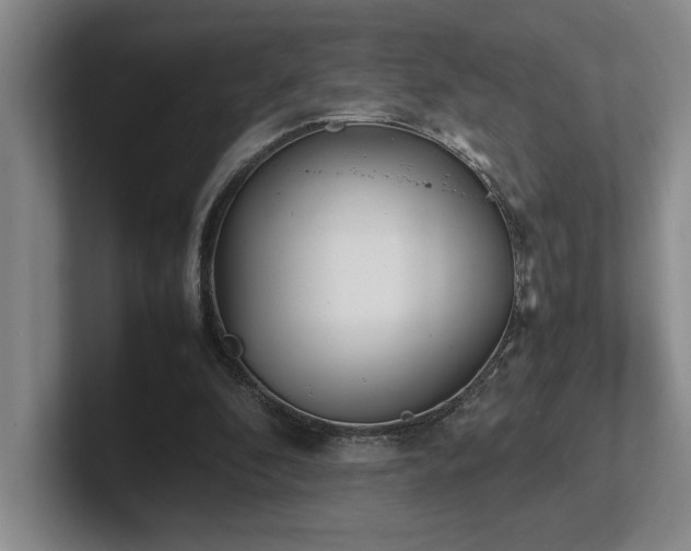 X0000102270296200807251355