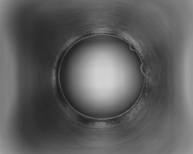 X0000102270298200807251355