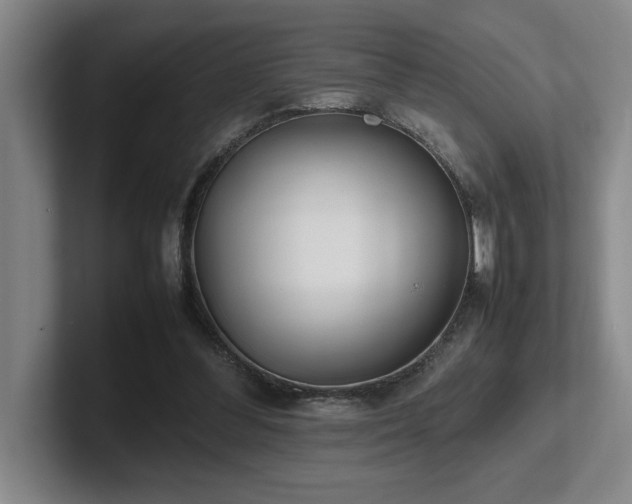 X0000102270300200807251355