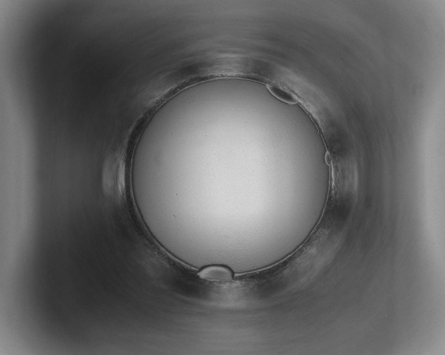X0000102270301200807251355