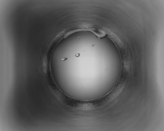 X0000102270304200807251355
